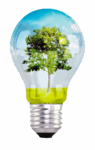 Développement Durable