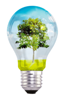 Sustainable Development